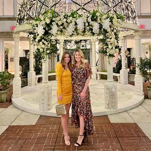 MISA Los Angeles Katarina Silk Chiffon Midi Dres